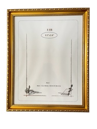 Photo Frame Size 4R / 5R / 6R / 8R / A4 / 11R / A3 - Gold Color(1pc)