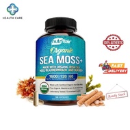 NutriFlair Irish Sea Moss Plus 1600mg, 120 Capsules - Wildcrafted Raw Moss Powder with Bladderwrack 