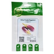 Ban Lee Huat Seed Local Singapore Grower's Choice Seed Baby Purple Eggplant Brinjal Vegetable