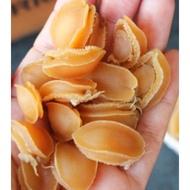 Dry small  abalone干小鲍鱼100g(14-18pcs)