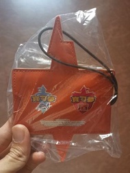 Pokemon 劍盾 cardholder