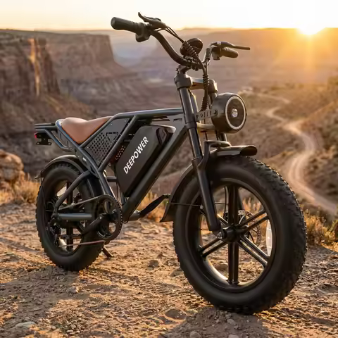 Adult Electric Bicycle, 48V 35AH Battery, 2000W Motor, 20-inch Tires, Suitable for Riding In Various