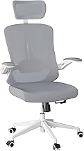 balmstar Ergonomic Office Chair, Home Office Desk Chair with Adjustable Headrest &amp; Lumbar Support (Grey)