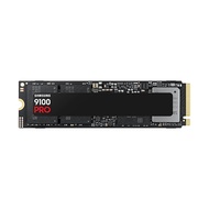 SAMSUNG 1 TB SSD M.2 PCIe 5.0 9100 PRO (MZ-VAP1T0BW)
