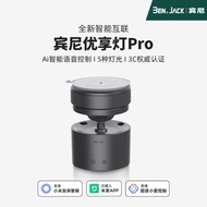 Binnie LED Youxiang Light In-Car Magnetic Suction Small Reading Light Has Been Connected to Mijia AP