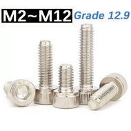 Grade 12.9 Hexagon Hex Socket Cap Allen Head Bolt Screw Nickel Plating M2 M2.5 M3 M4 M5 M6 M8 M10 M1