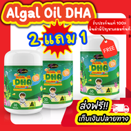 [3 แถม 2]พร้อมส่ง {DHA Algal Oil {DHA 350 mg.} Auswelllife DHA วิตามินเจริญอาหาร DHA นำเข้าออสเตรเลี