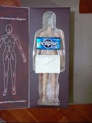 Brand new 1/6 包膠素體 歐美大胸 拆腳 新白肌 嵐素體 jiaou doll new white skin tone 可換 tbleague
hottoys 其他 1:6 兵人 或 手辦