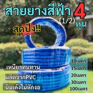 สายยางสีฟ้า 4หุน(1/2นิ้ว)5เมตร10เมตร 20เมตร 30เมตร 100เมตร สายยางรดต้นไม้ สายยางพีวีซี PVCใหม่garde