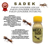 SADEK PAKAN JANGKRIK ADUAN PAKAN JANGKRIK FIGHTER SADEK MEMBERI VITAMIN NUTRISI DAN MINERAL PADA JAN