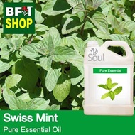 Pure Essential Oil (EO) - Mint - Swiss Mint ( Mentha Spicata ) Essential Oil - 5L