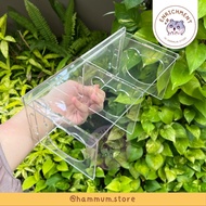 Acrylic Hamster Tunnel | Underground Hamster Tunnel | Hamster Acrylic Platform