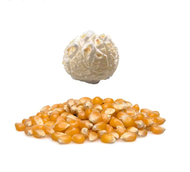 Kernel Popcorn Pop Corn Mushroom Popcorn Biji Bertih Jagung 500g 1kg