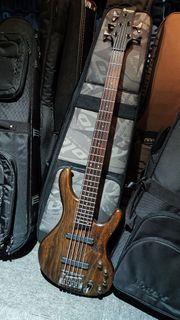 Ibanez 5 string bass edb555