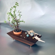 木盆栽架/原木置物盤/星球小宇宙/梯形/不含盆栽