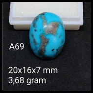 Persian Turquoise A69 Pyrus Turquoise Agatenatural