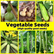 Gourd Seeds - F1 Hybrid Upo Tambuli Bottle Gourd Seeds High Germination Vegetable Seeds for Gardenin