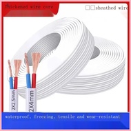 Cable Wire Indoor Household White Sheath Cord 2 Core Wire 2.5/4 Square Outdoor Antifreeze Lighting M