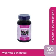 WELLNESS ECHINACEA EXTRACT VITAMIN VIT C IMMUNITY IMMUNITY ANTI BACTERIAL VIRUS 30 CAPSULES