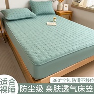 2025 New Style Quilted Bed Sheet Single-Piece Thickened Quilted Simmons Mattress Protective Cover Be