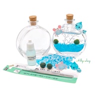 DIY Marimo Terrarium Kit