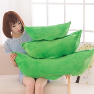 [Height: 25cm, 40cm, 50cm] Bean pod plush toy, 3 beans in a bean pod, stuffed doll, pillow, creative