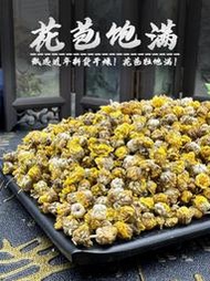 『寶島養生堂』野菊花材野菊米天然野菊花幹小黃菊花胎菊非野生山菊枕頭泡澡