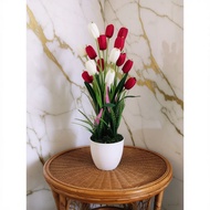 tulip hiasan rumah terbaru new stok pokok hiasan dalam rumah✫【Ready Stock】 ✫hiasan rumah✫ Bunga Tuli