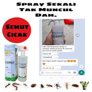 Spray semut cicak tanpa racun