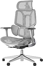 Hbada E3 Ergonomic Office Chair 3D Adjustable Armrests Grey