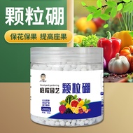 Huaduoguoduohua Preservation Increases Production Volume Melon Fruit Vegetable Agricultural Fruit Tr