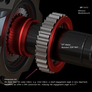 DT Swiss Ratchet EXP 54T with Bearings Service Kit - Bicycle Parts / Accessories / Hubs