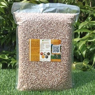 Sorgum Ketan Merah | Enak dan Pulen | Fresh Langsung dari Petani 2kg