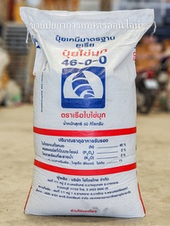 (50 กิโล) ปุ๋ยยูเรีย 46-0-0 ตราเรือใบ บำรุงต้นและใบ เร่งการเจริญเติบโตของพืช ใบดก สีเขียวเข้ม **สั่ง