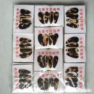 Guzheng Nails Antique Natural Guzheng Prosthetic Nails Fake Nails Exquisite Practical Model Adult Ch