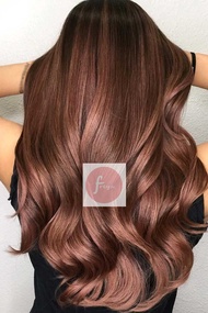 Chestnut Permanent Hair Color Set - ( 44.77 Bremod Hair Dye )