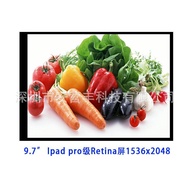 Motherboard 1536x2048Resolution 9.7Inch LCD Screen IPS Display Screen lcd LCD Screen Wholesale