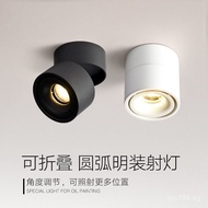 Photo12W Guide Rail cob Background Wall TV Ceiling Mount led Foldable Round Spotlight Downlight Anti