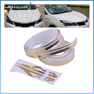 EMOTEMY Car Body Decal Waist Line  Multicolor Pinstripe Steamline