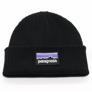 Patagonia Everyday Beanie Hat