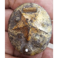 Lp pinak DAO come with certificate card