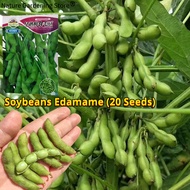 เมล็ดพันธุ์ ถั่วแระญี่ปุ่น บรรจุ 20 เมล็ด Edamame Seeds Soybean Organic Vegetable Seeds for Planting