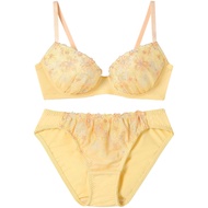 [Amphi] Bra and Shorts Set Natural Round Bust Makeup [Bra & Shorts Set] Upper and Lower Set Bra BCC2