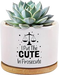 I Put The Cute in Prosecute Lawyer Gifts Law Student Graduation Gifts Attorney Ceramic Succulent Pla