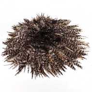 Pengilang Borong Bulu Ayam Buluh Hijau 4-6 Inci Bulu Ayam Bulu DIY Aksesori Bulu Ayam Buluh Hiasan G