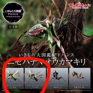 生物大圖鑑 螳螂