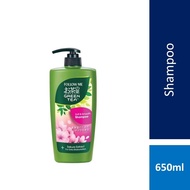 Follow Me Green Tea Shampoo (Soft & Smooth)