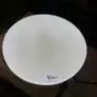 12 WATT CEILING LIGHT 12 WATT CEILING LIGHT 12 WATT 12 W