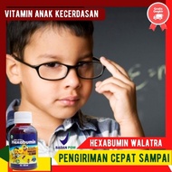 Vitamin Anak Kecerdasan Otak Anak, Sirup Vitamin Anak, Vitamin Otak