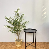 Premium Artificial Olive Plant / Pokok Zaitun Hiasan Tiruan 85cm / 120cm / 150cm